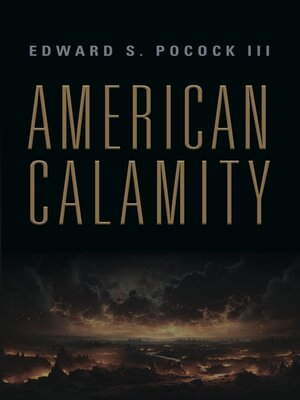 cover image of American Calamity